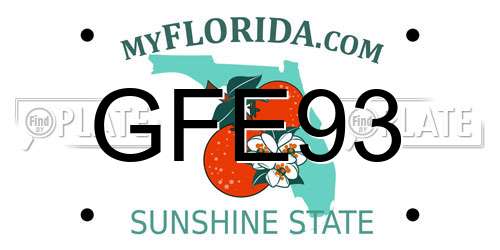 GFE93 Florida License Plate