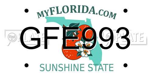 GFE993 Florida License Plate