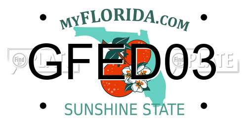 GFED03 Florida License Plate