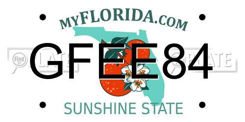GFEE84 Florida License Plate
