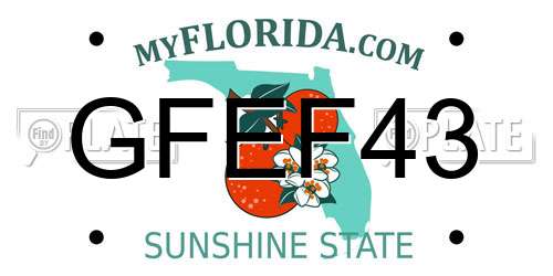 GFEF43 Florida License Plate