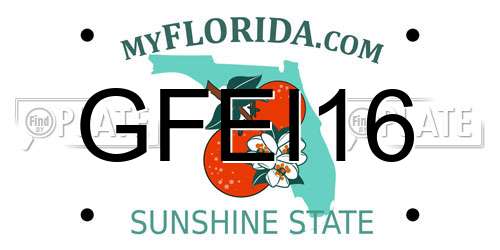 GFEI16 Florida License Plate