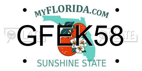 GFEK58 Florida License Plate
