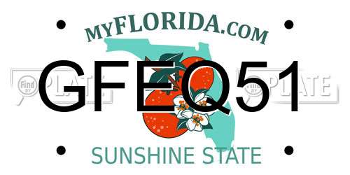 GFEQ51 Florida License Plate