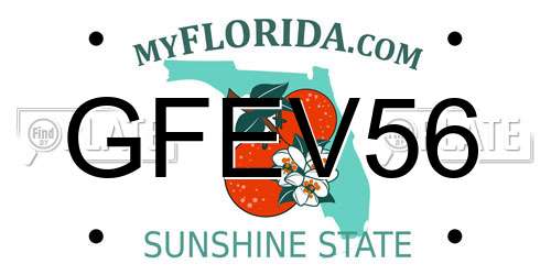 GFEV56 Florida License Plate