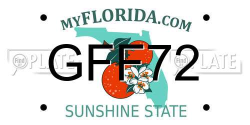 GFF72 Florida License Plate