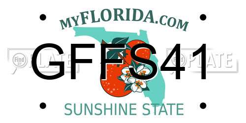 GFFS41 Florida License Plate