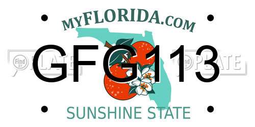 GFG113 Florida License Plate