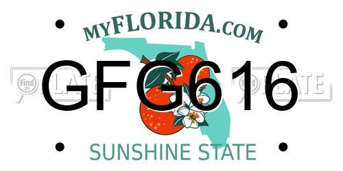 GFG616 Florida License Plate
