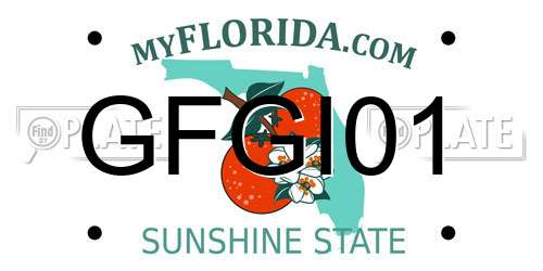 GFGI01 Florida License Plate