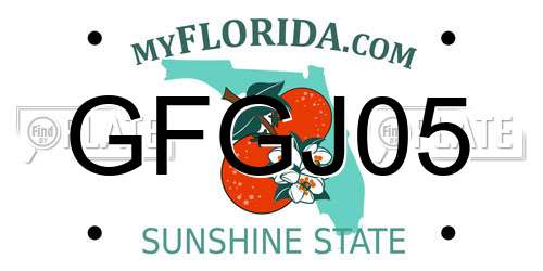 GFGJ05 Florida License Plate