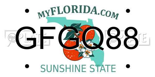 GFGQ88 Florida License Plate