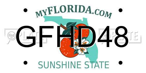 GFHD48 Florida License Plate