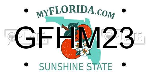 GFHM23 Florida License Plate