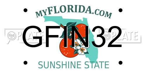 GFIN32 Florida License Plate