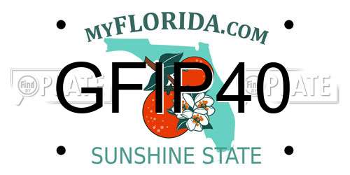 GFIP40 Florida License Plate