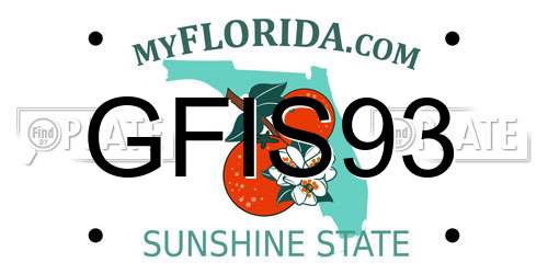 GFIS93 Florida License Plate