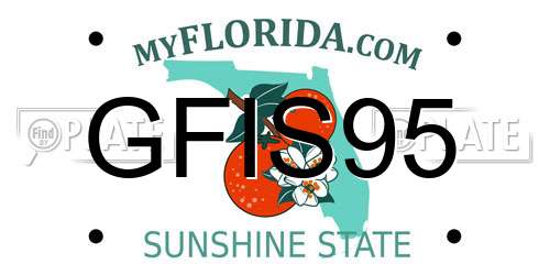 GFIS95 Florida License Plate