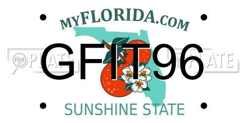 GFIT96 Florida License Plate