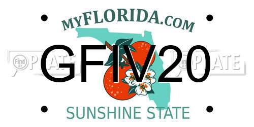 GFIV20 Florida License Plate