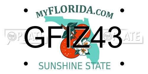 GFIZ43 Florida License Plate
