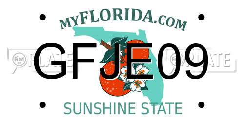 GFJE09 Florida License Plate