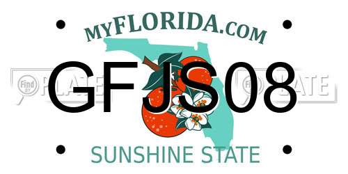 GFJS08 Florida License Plate