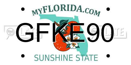 GFKE90 Florida License Plate