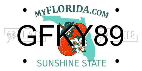 GFKY89 Florida License Plate