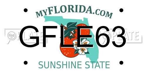 GFLE63 Florida License Plate