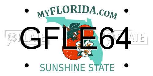 GFLE64 Florida License Plate