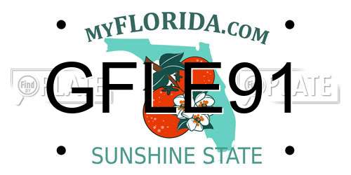 GFLE91 Florida License Plate