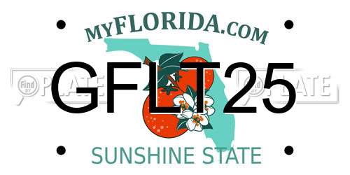 GFLT25 Florida License Plate
