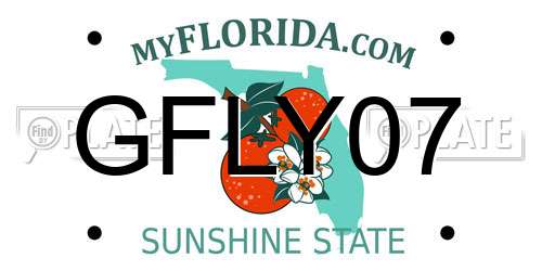 GFLY07 Florida License Plate