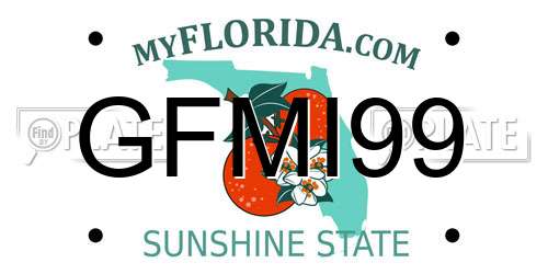 GFMI99 Florida License Plate