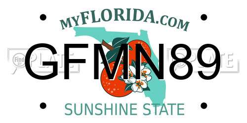GFMN89 Florida License Plate