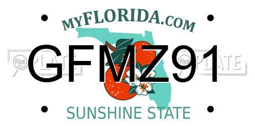 GFMZ91 Florida License Plate