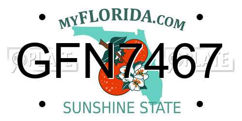 GFN7467 Florida License Plate