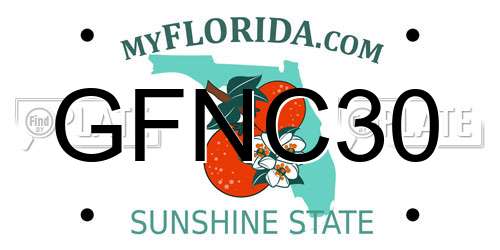 GFNC30 Florida License Plate