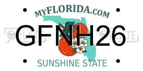 GFNH26 Florida License Plate