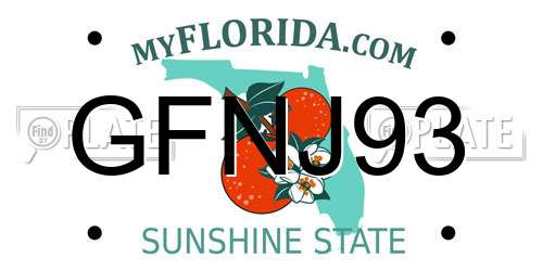 GFNJ93 Florida License Plate