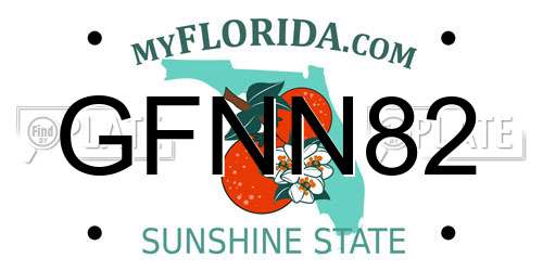 GFNN82 Florida License Plate