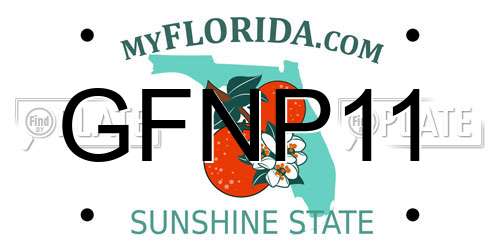 GFNP11 Florida License Plate