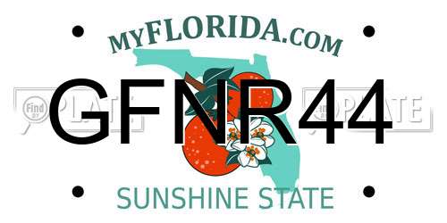 GFNR44 Florida License Plate