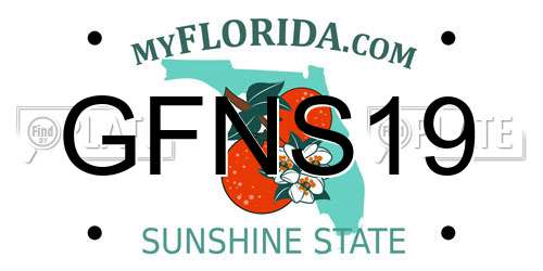 GFNS19 Florida License Plate