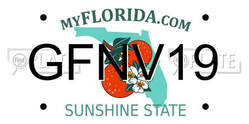 GFNV19 Florida License Plate