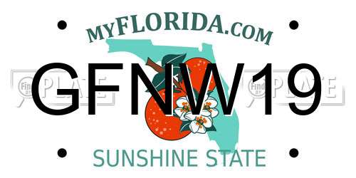 GFNW19 Florida License Plate