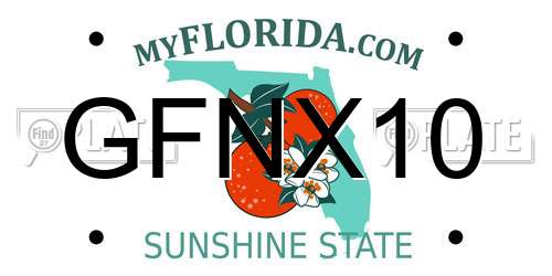 GFNX10 Florida License Plate