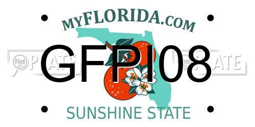 GFPI08 Florida License Plate