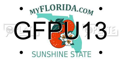 GFPU13 Florida License Plate